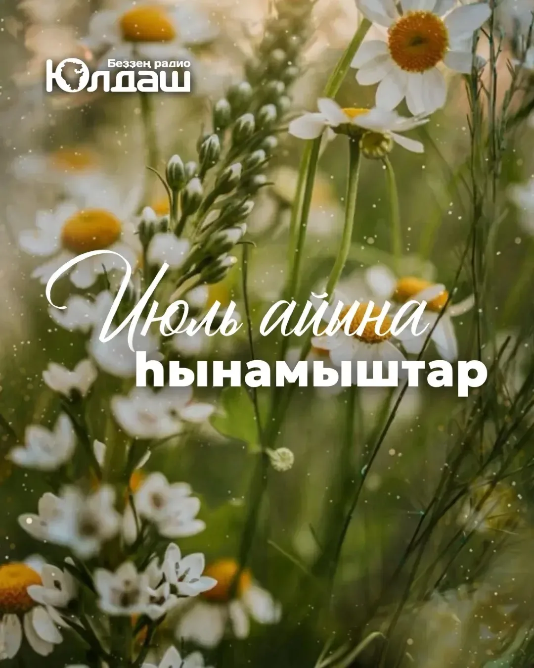 Июль айына һынамыштар...