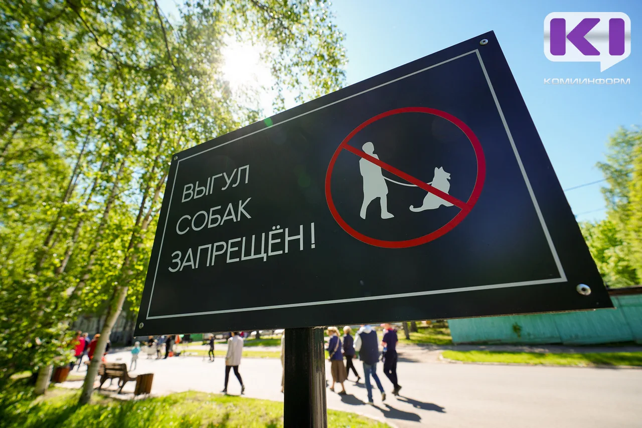 Мэрия Сыктывкара направила жителей дома по ул. Морозова в Службу ветеринарии и полицию для решения в