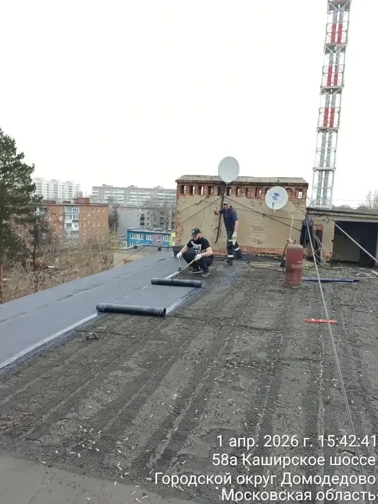 ✅Выполненные работы: