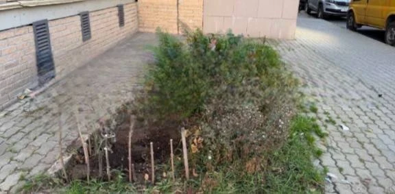 Жители 6-й Радиальной, 3к10, пожаловались на мусор и осколки стекла возле клумбы у перв...
