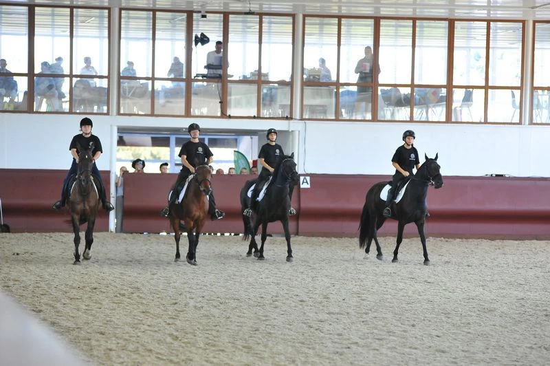🐎 Прямо сейчас в центре «Целебный Ессентуки» проходит спартакиада по конному спорту дл...