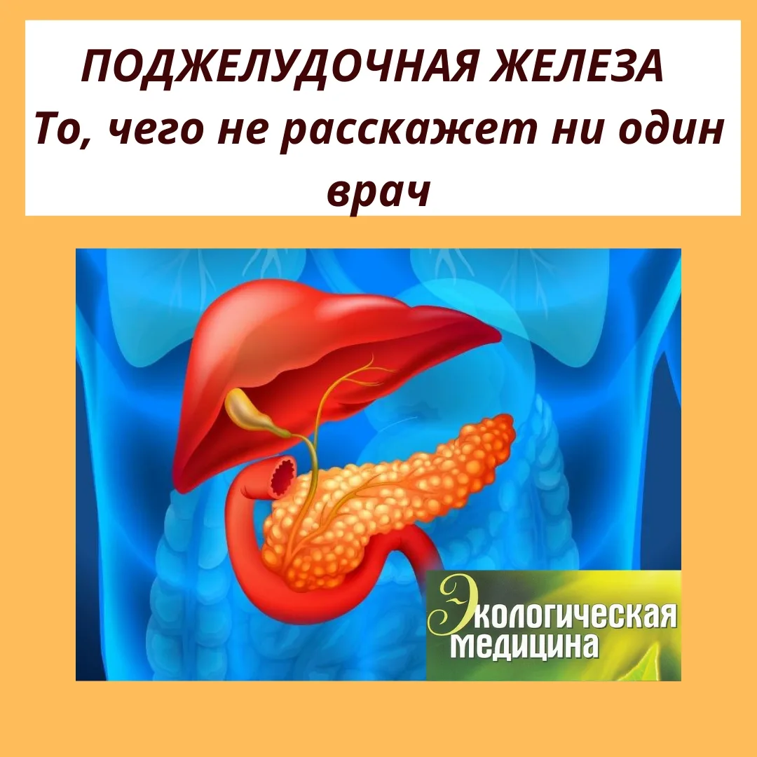 ☀ПОДЖЕЛУДОЧНАЯ ЖЕЛЕЗА То, чего не расскажет ни один врач❗