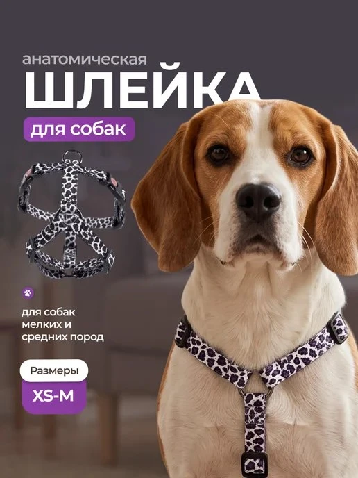 Шлейка для собак мелких и средних пород SSY