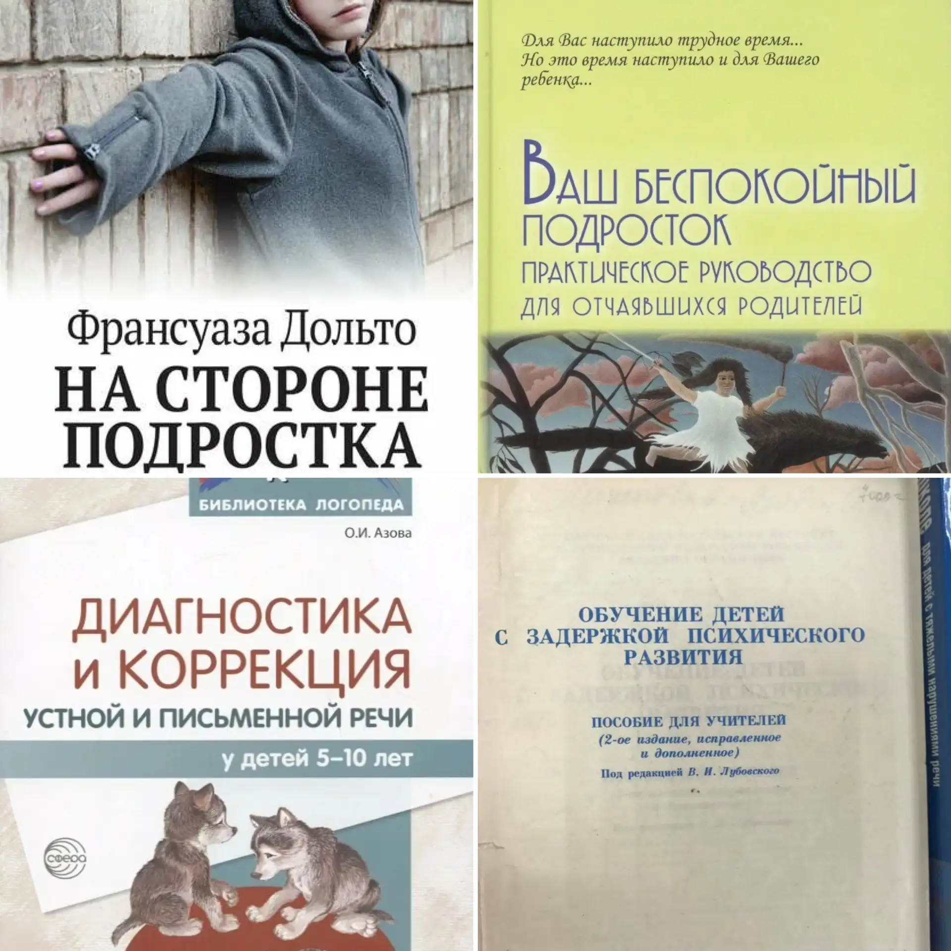 Книги разноплановые: и по психокоррекции, и по семейной терапии, и по работе с психологом, немного –