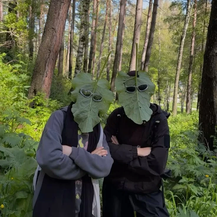 Идея для фото с подругой в лесу 🌿