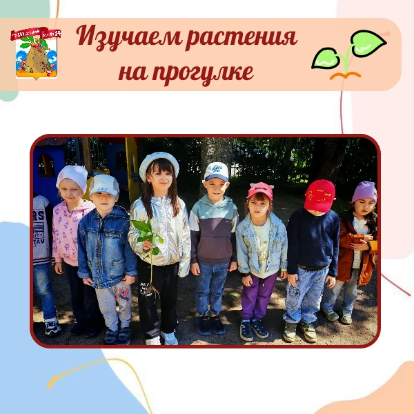 Находка на прогулке 🌿✨

Обычная прогулка превратилась в настоящее исследование! Пропалывая кусты, м