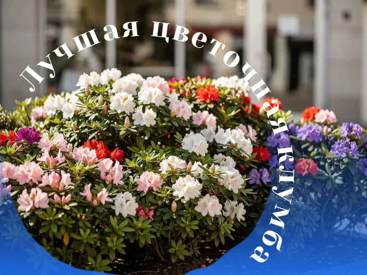 Внимание, предприниматели Новокузнецка!

🏵С 22 июня по 15 июля стартует конкурс «Лучшая цветочная к