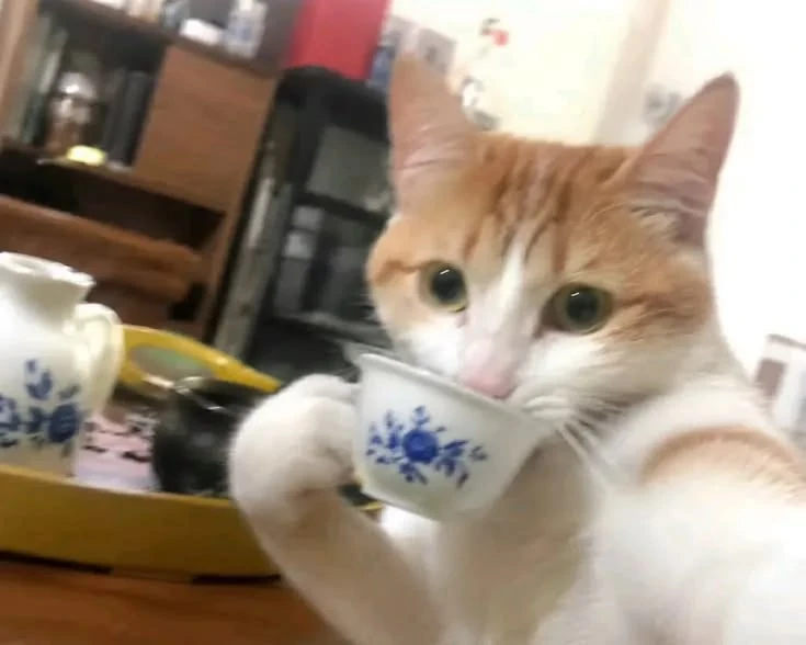 Ну что, снова четверг?