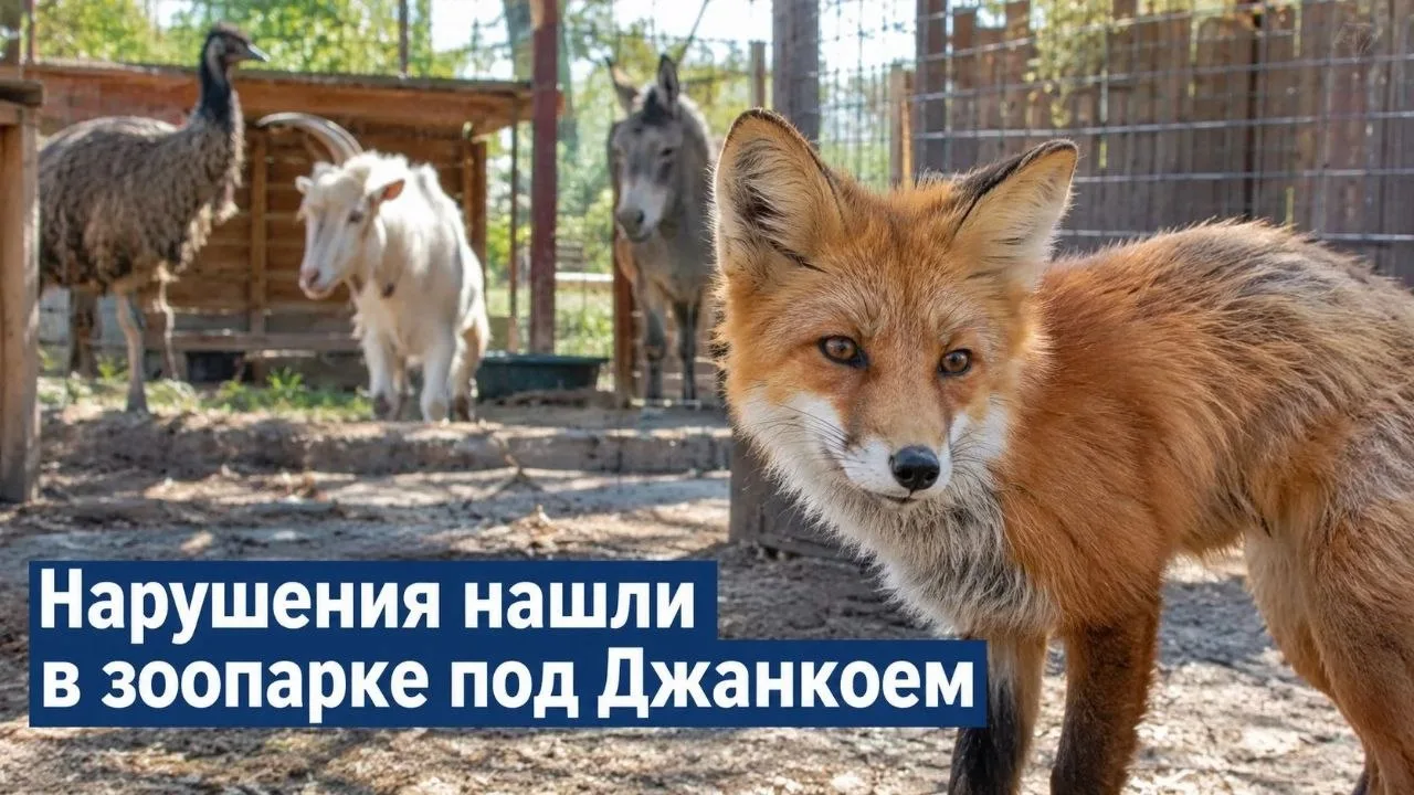 🦊 Нарушения нашли в зоопарке под Джанкоем