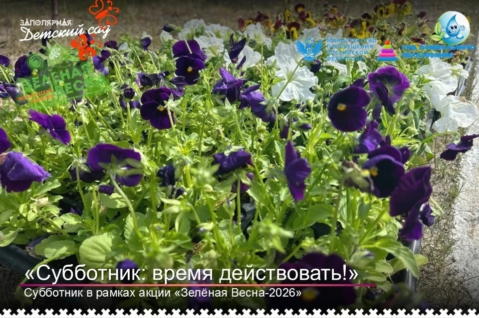 🌸 Цветы — это улыбка солнца, которая дарит радость. Сотрудники детского сада вышли в солнечный тёпл