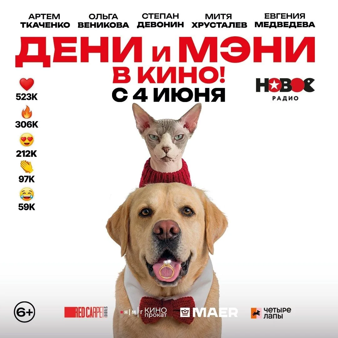 Наши любимые хвостатые блогеры стали кинозвездами! 🐾😎