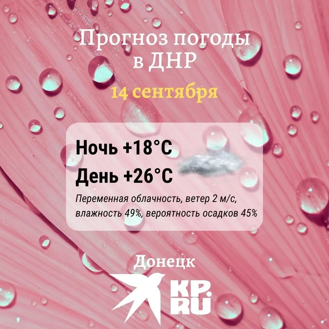 Сегодня в ДНР будет облачно и тепло. Ветер ожидается южный, с порывами до 8 м/с. Днем, ...