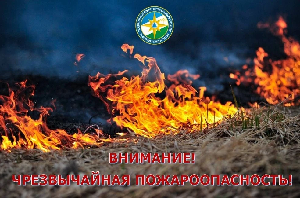🔥 Внимание! По данным Башгидромета, с 1 по 7 сентября в отдельных юго-восточных района...