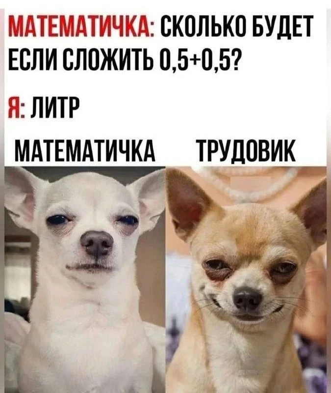 Фото