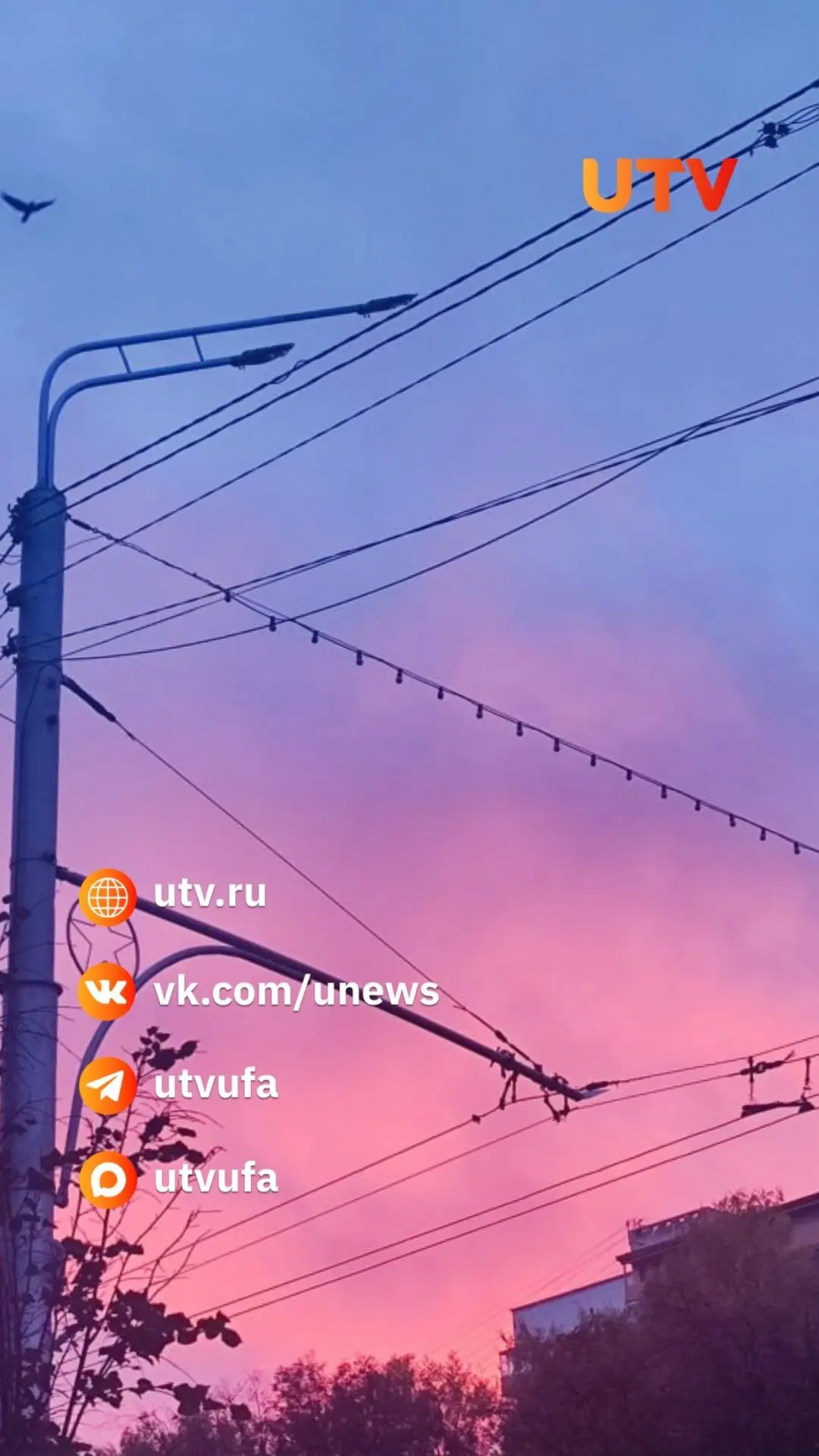 😍 Розовый закат в Уфе