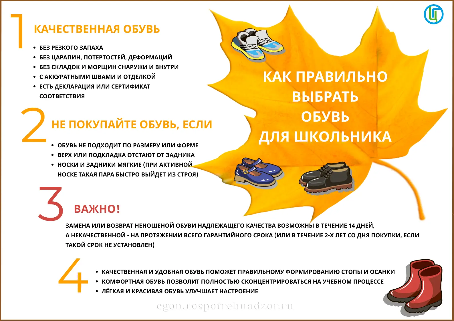 Роспотребнадзор рекомендует: как выбрать качественную обувь для обучающихся