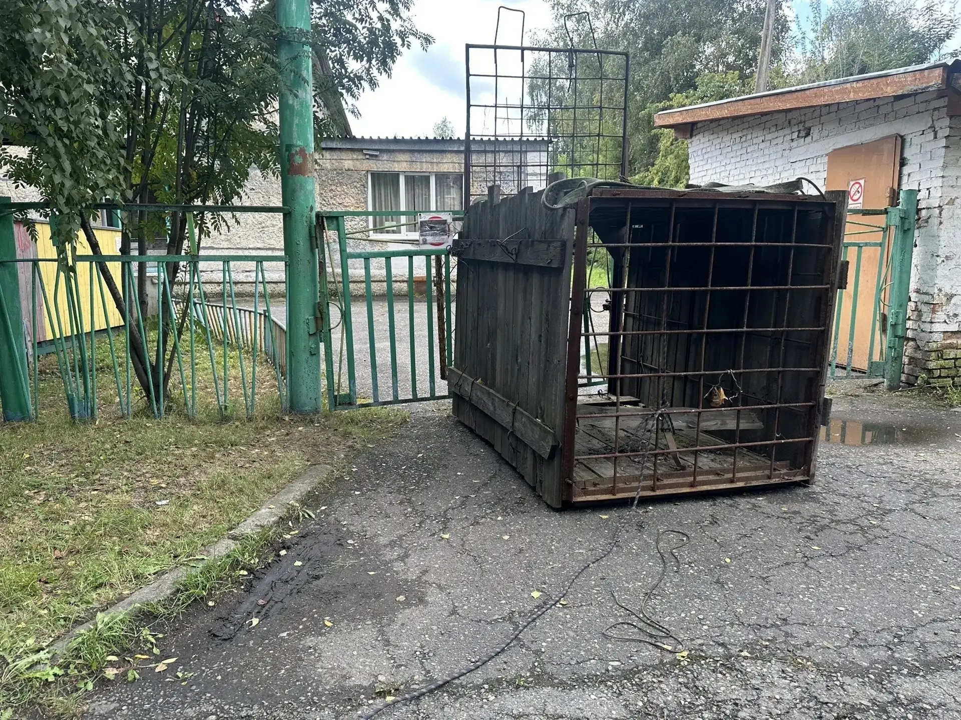 В Кузбассе мишка залез на территорию детского сада
