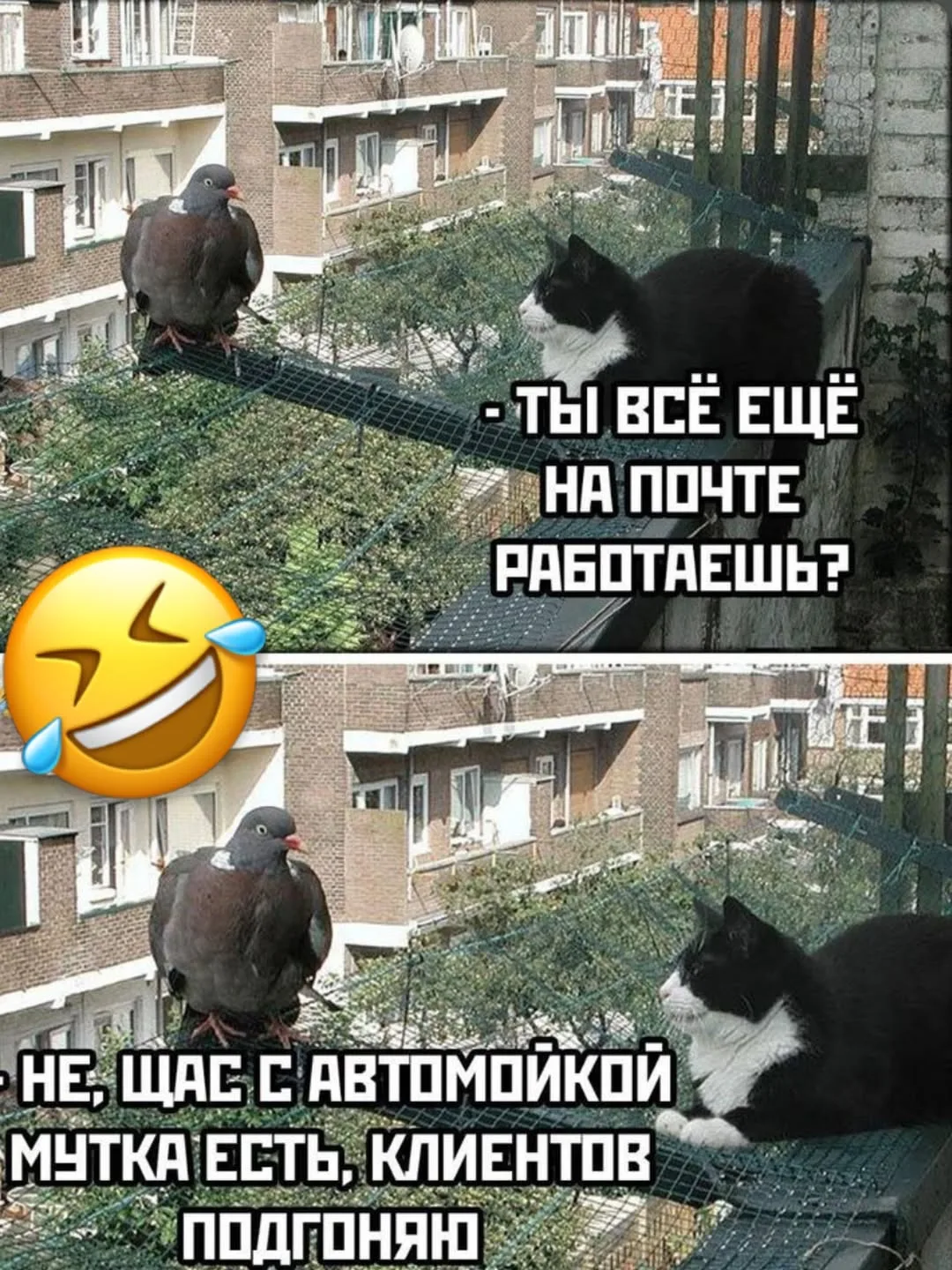 😂🐦Ну они точно без работы не останутся)