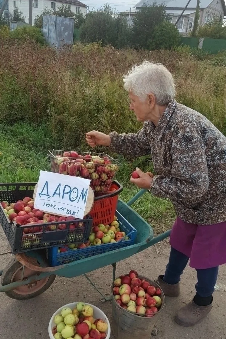 Бабуля раздает яблоки бесплатно