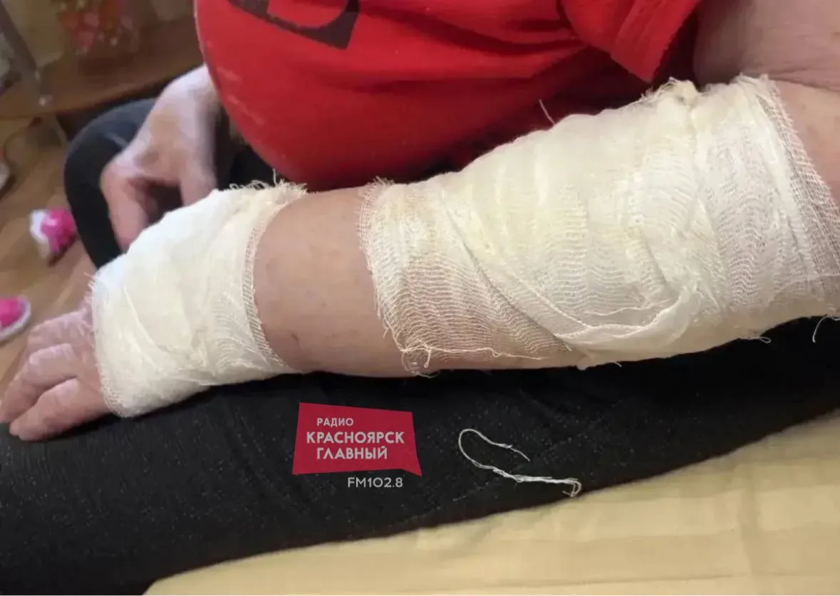 В Красноярске на Гладкова собака напала на пенсионерку в магазине

Женщина с большой собакой без нам