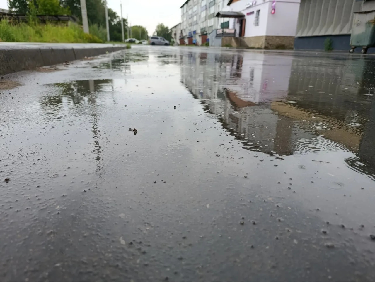 Друзья, доброе утро! Не забываем про зонты! ☂️