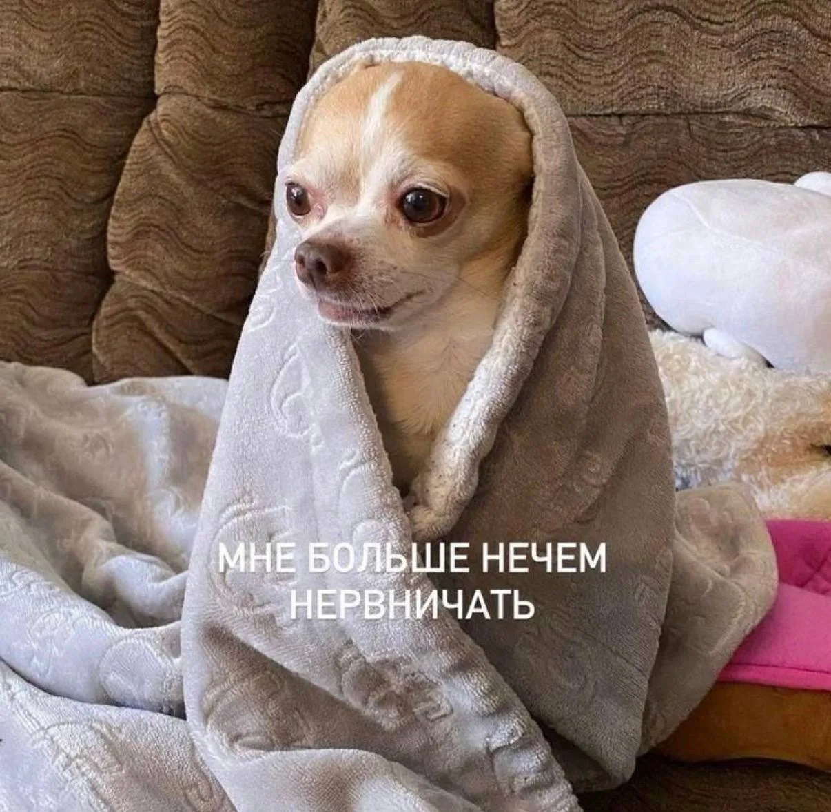 Мне больше нечем нервничать😁
