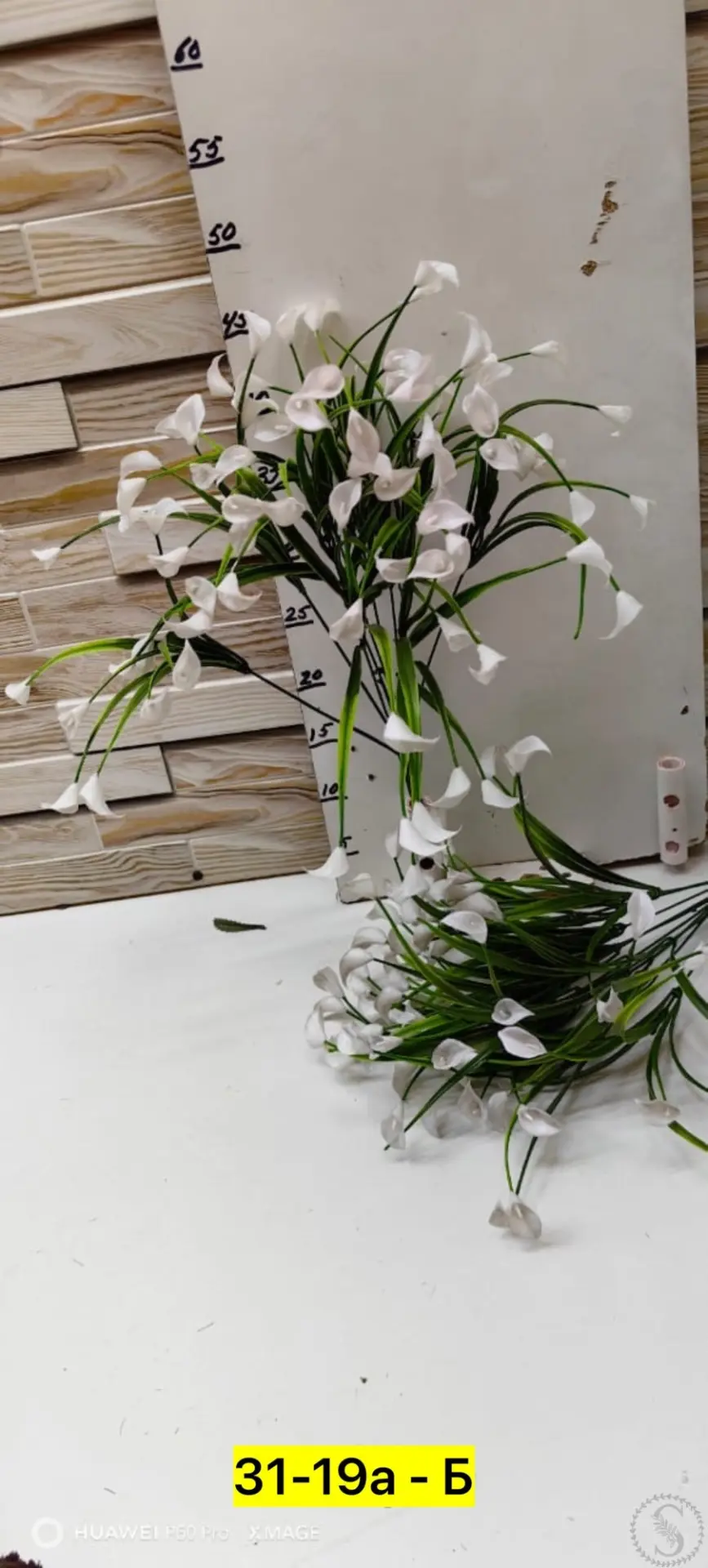 https://vk.com/photo-184814919_493495351
