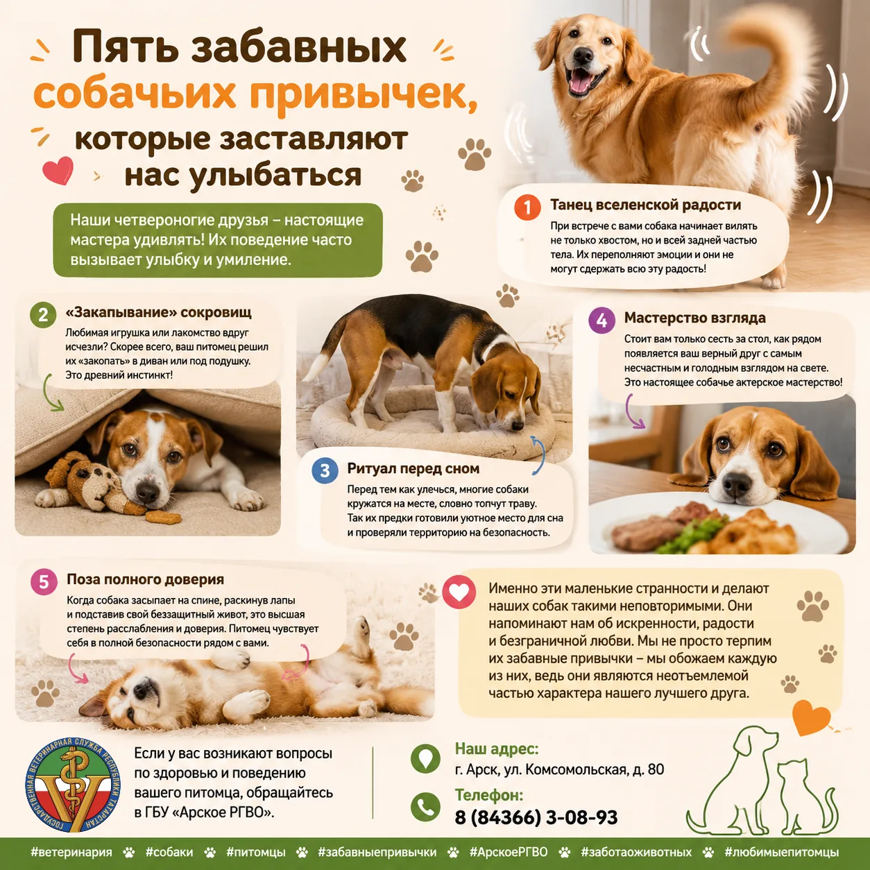 Пять забавных собачьих привычек, которые заставляют нас улыбаться
 
Каждый владелец собаки знает: на