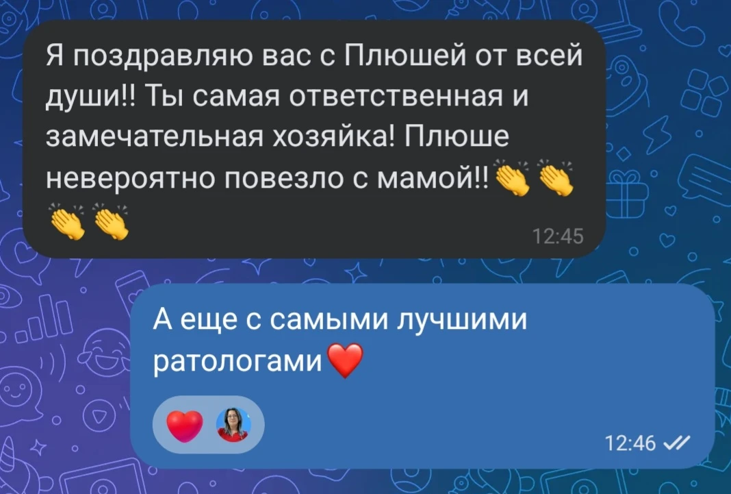 Съездили с Плюшей на КТ. Коротко — мы победили. Конечно, дентальная болезнь никогда не исчезает у гр