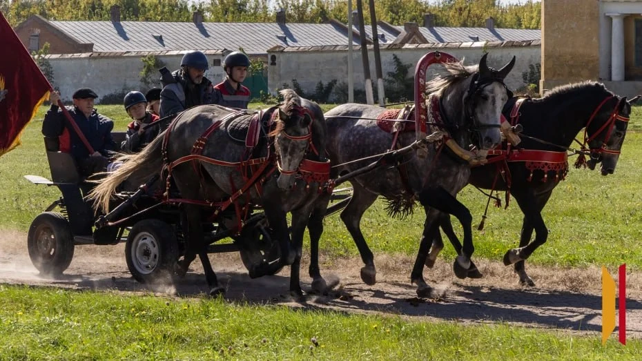 🐎 В Бобровском районе отметили 250-летие Хреновского конного завода.