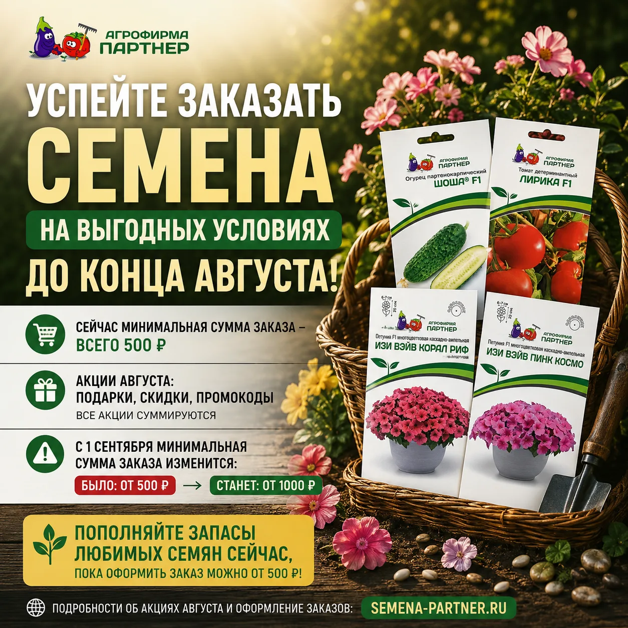 🎁 АКЦИИ АВГУСТА В ИНТЕРНЕТ-МАГАЗИНЕ!