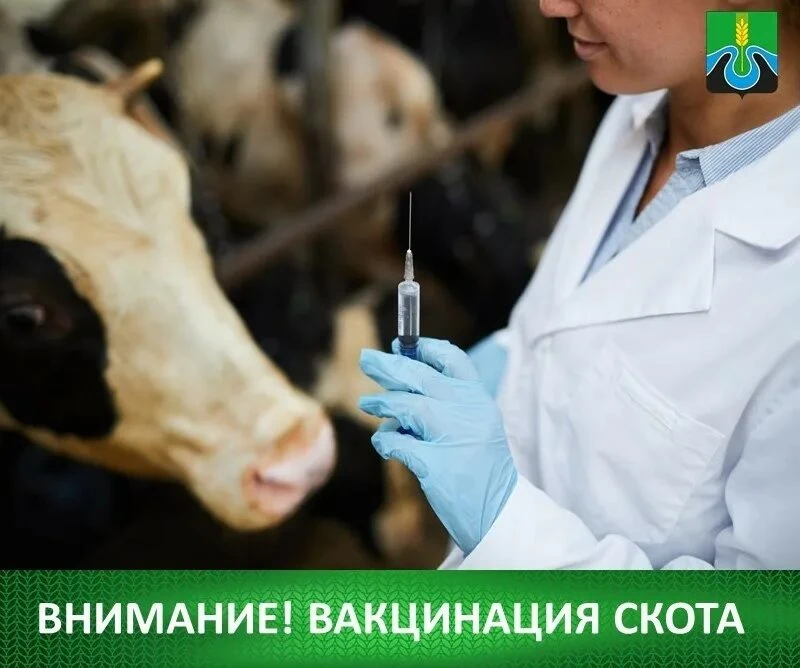 Уважаемые жители Тыреть 1 в субботу 19 сентября с 8 часов на расколе, будет проводиться...