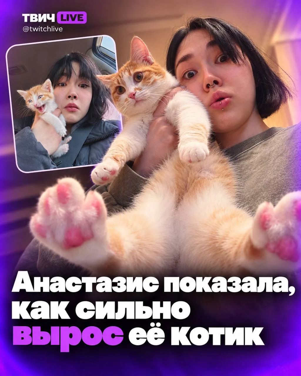 Анастазис показала, как сильно вырос котик 😳
