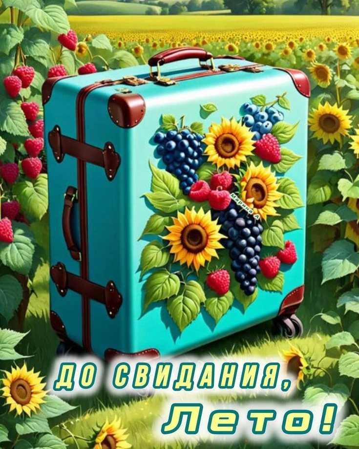 🌞 «До свидания, лето!»