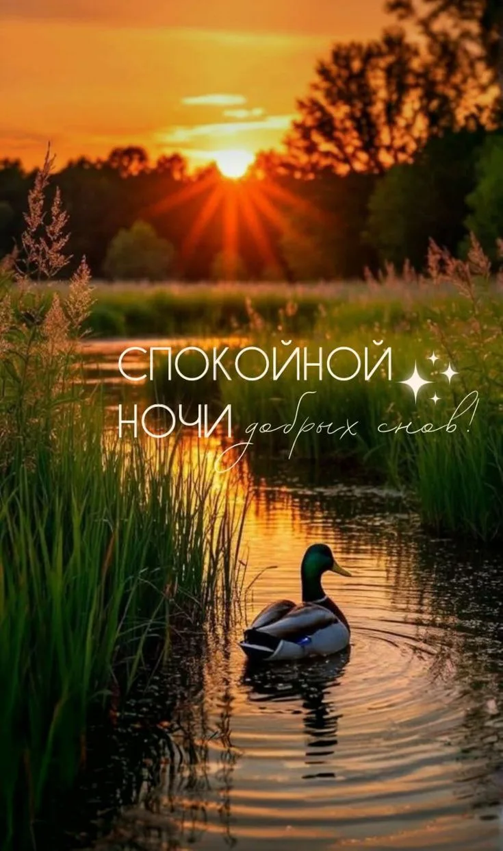 Доброй ночи