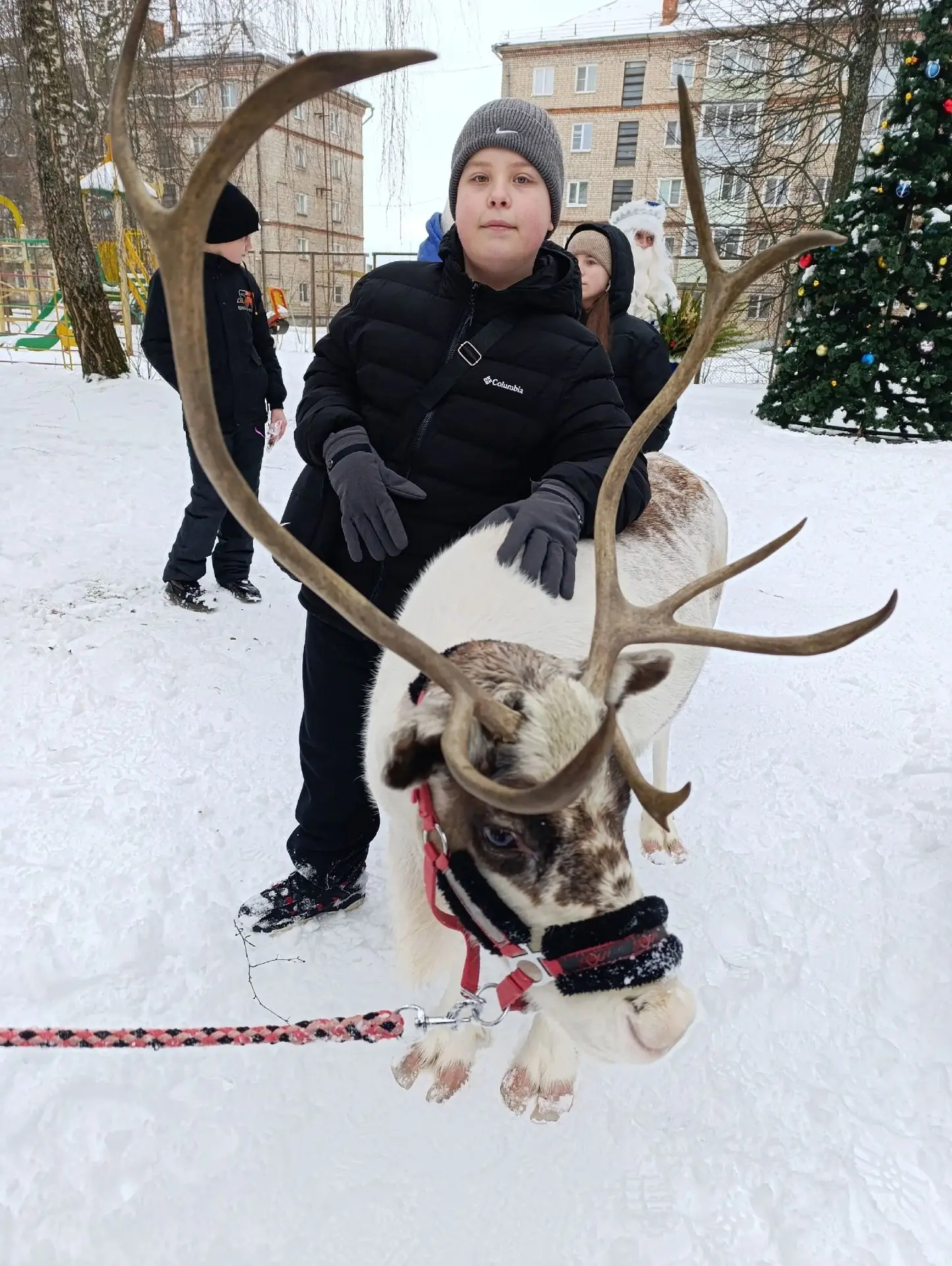 Новогодние чудеса продолжаются...За окном прекрасная зимняя погода, близится самый лучш...