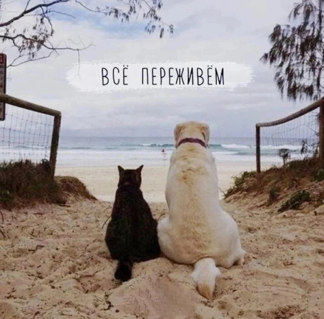 🇷🇺  Мы в МАХ : https://max.ru/dusha_angela_new