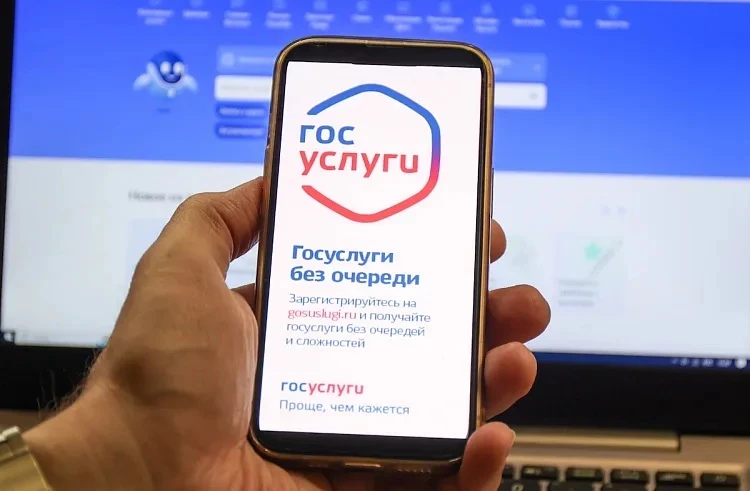 💻➡️Госуслуги продолжают помогать владельцам земельных участков получать муниципальные услуги "онлай