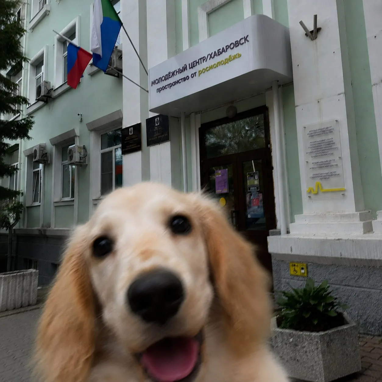 гамт вдылс то 🐾
