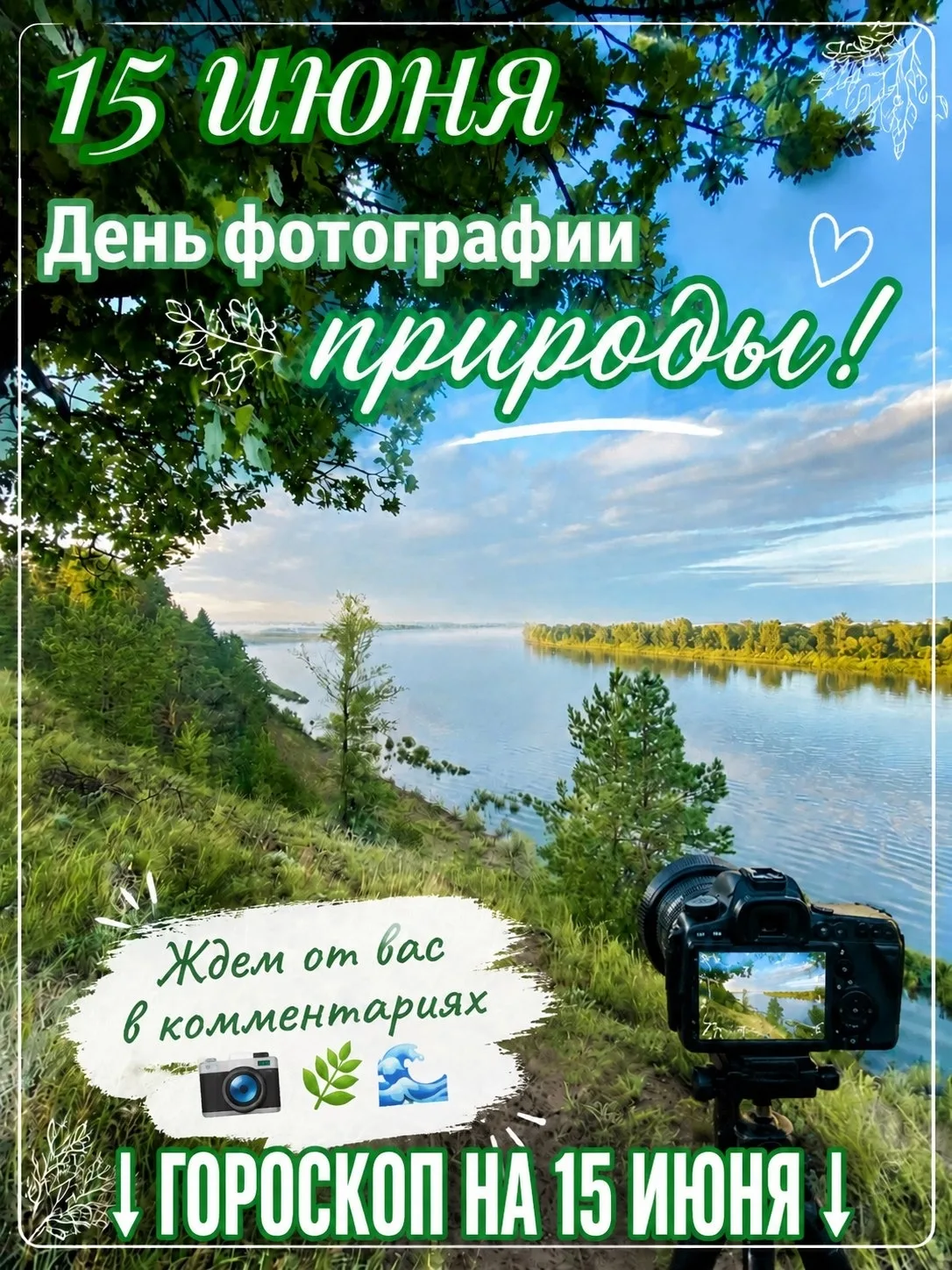 🌸🌿Гороскоп на 15 июня🌿🌸 
♈ ♉ ♊ ♋ ♌ ♍ ♎ ♏ ♐ ♑ ♒ ♓

☀🌸🌿Доброе утро. Оптимизм – правильный выбор,