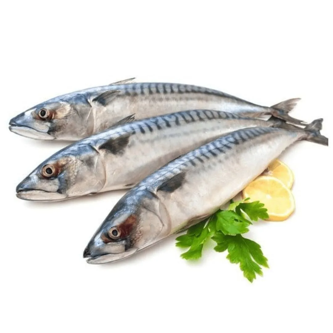 Употребление скумбрии может помочь в предотвращении деменции.

Этот продукт богат витамином B12, деф