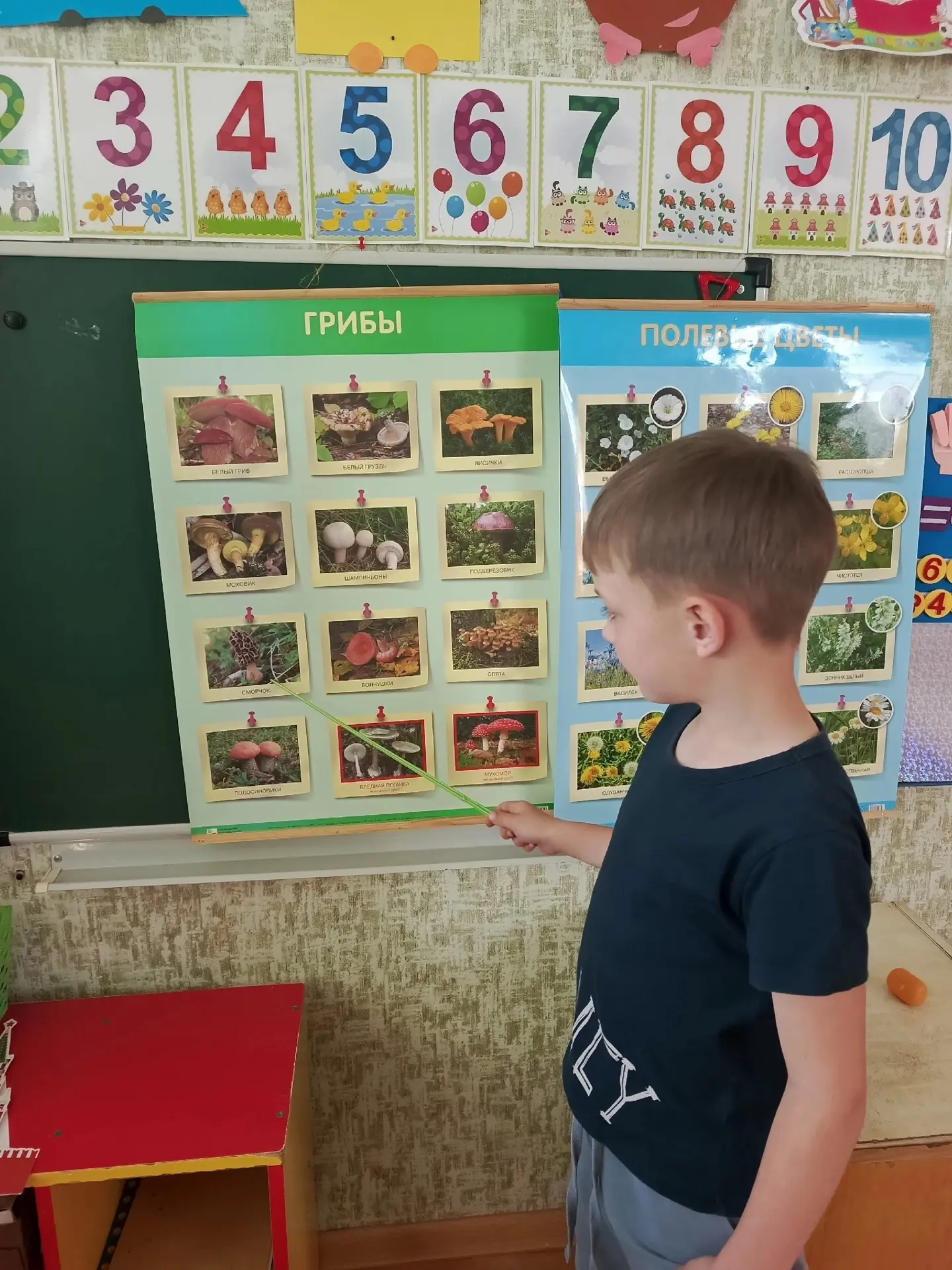 В старшей и подготовительной к школе группе прошел тематический день «В мире растений»🌱. 

👭Дети в