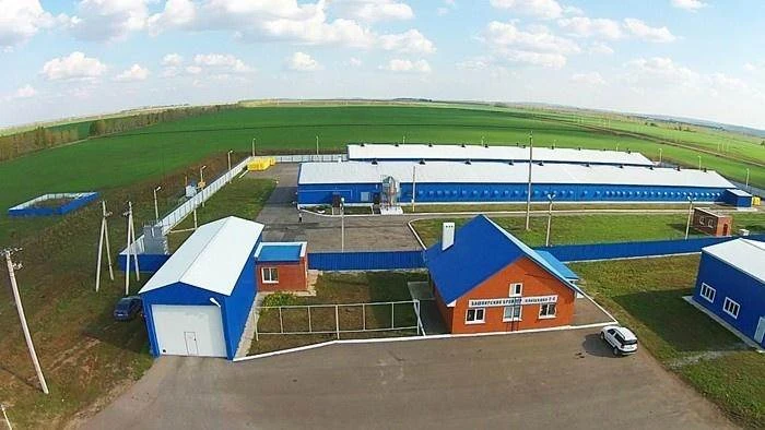 Группа «Продо» закрыла сделку по покупке «Башкирского бройлера».

▪️ Андрей Городилов расширяет птиц
