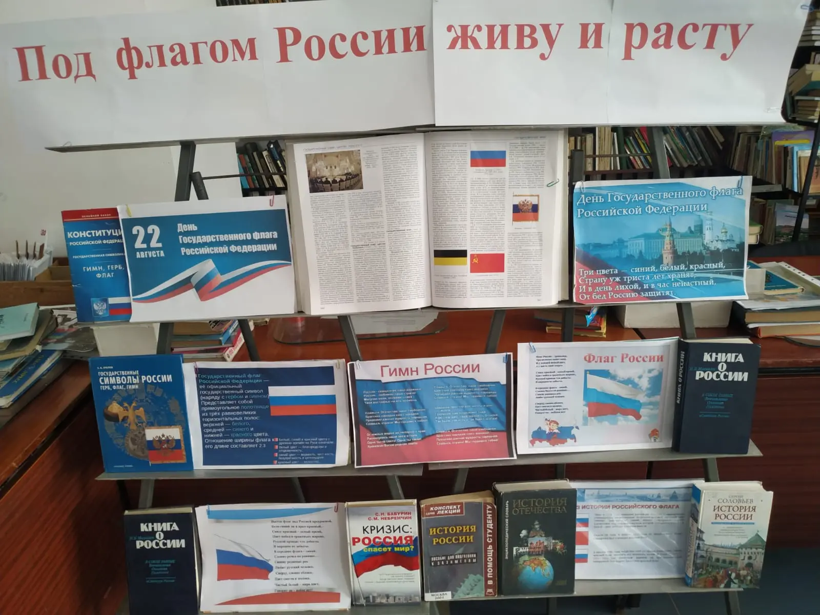 🇷🇺📚 ПОД ФЛАГОМ РОССИИ ЖИВУ И РАСТУ! 📚🇷🇺