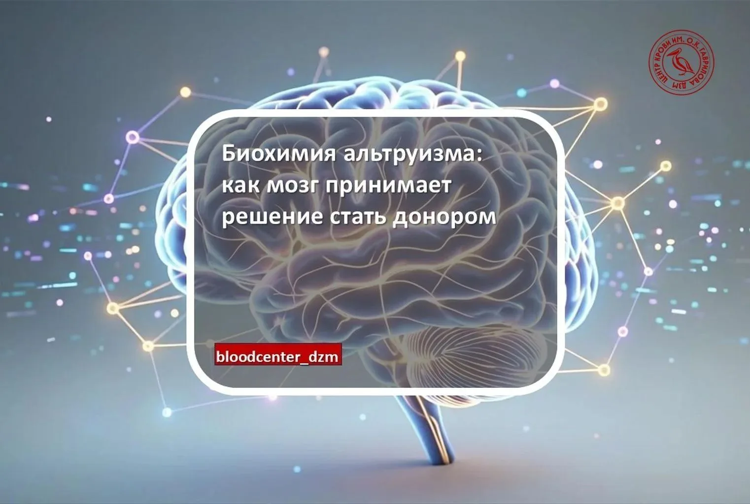 Биохимия альтруизма: как мозг принимает решение стать донором