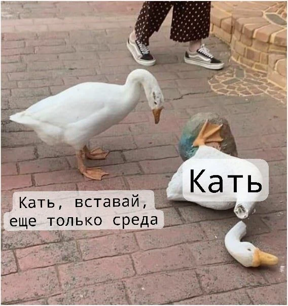 Утречком