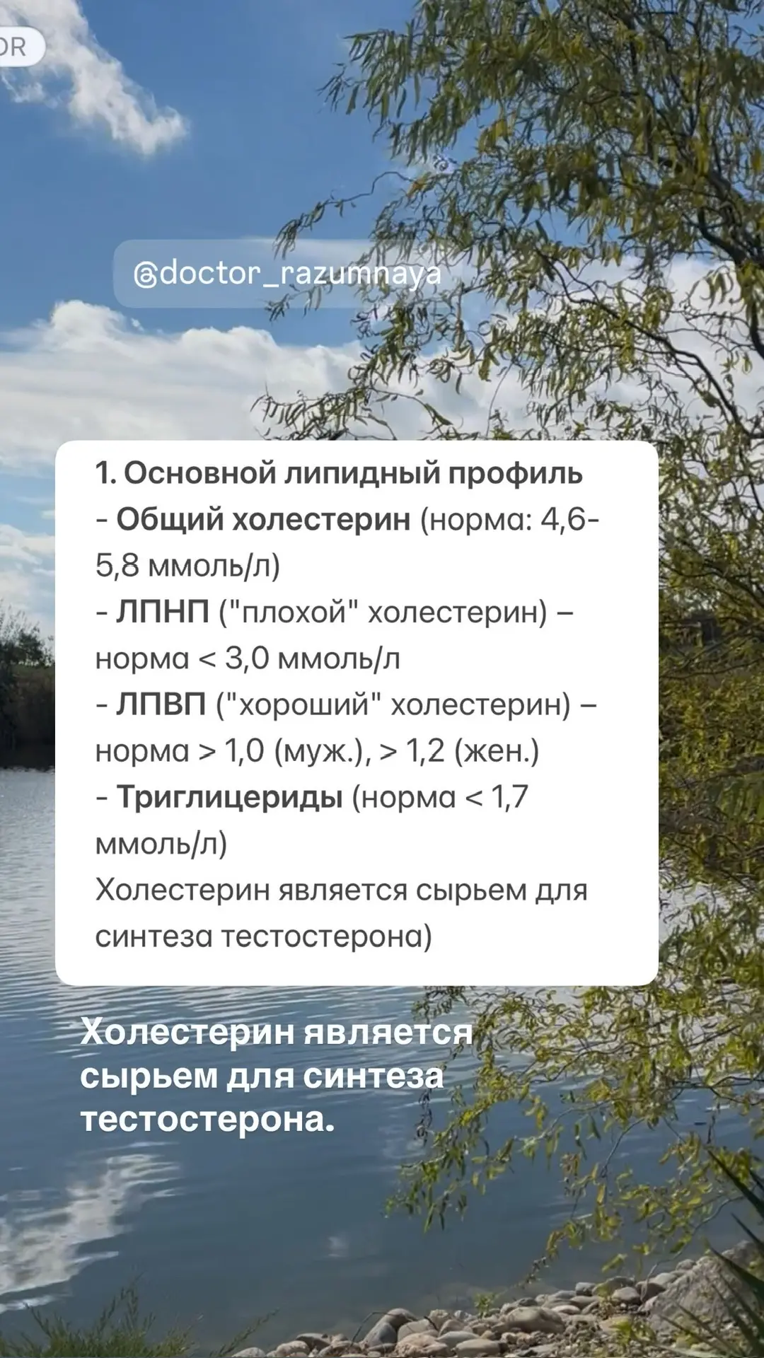 💥 Список анализов для выявления дефицита тестостерона.  Если у вас есть дефицит тестостерона, то вы 