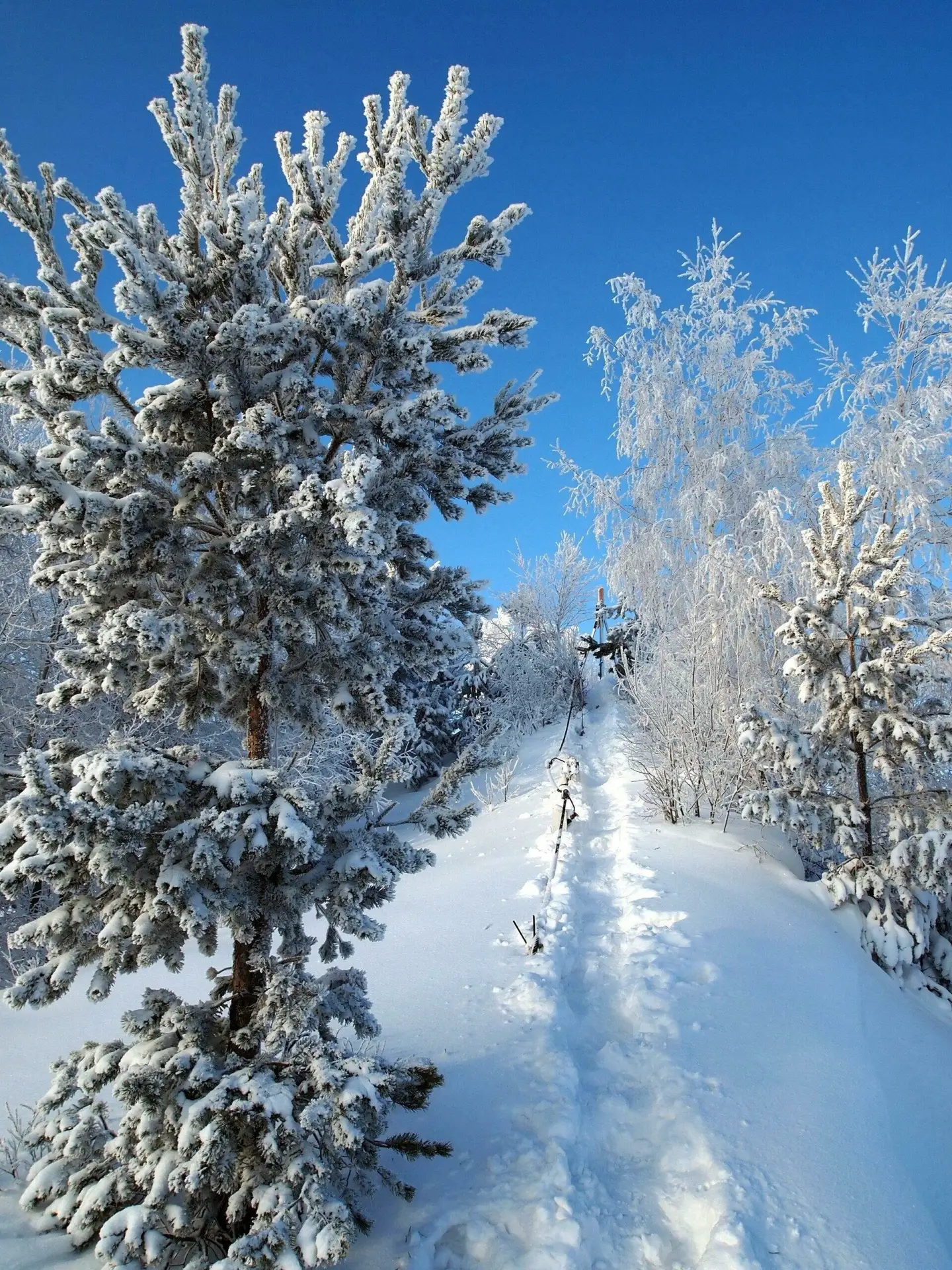 Присылайте Ваши фото в "Предложить пост"