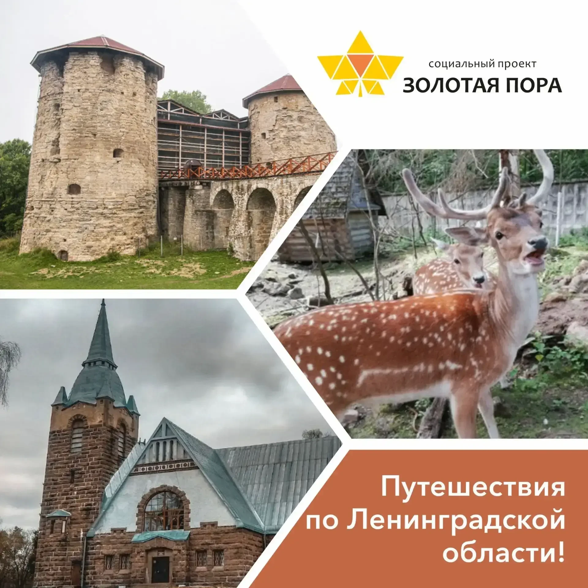 🚌Путешествия по Ленинградской области!