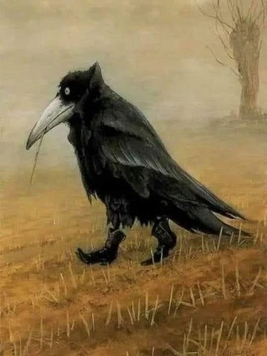 Знаете, все дело в птицах: